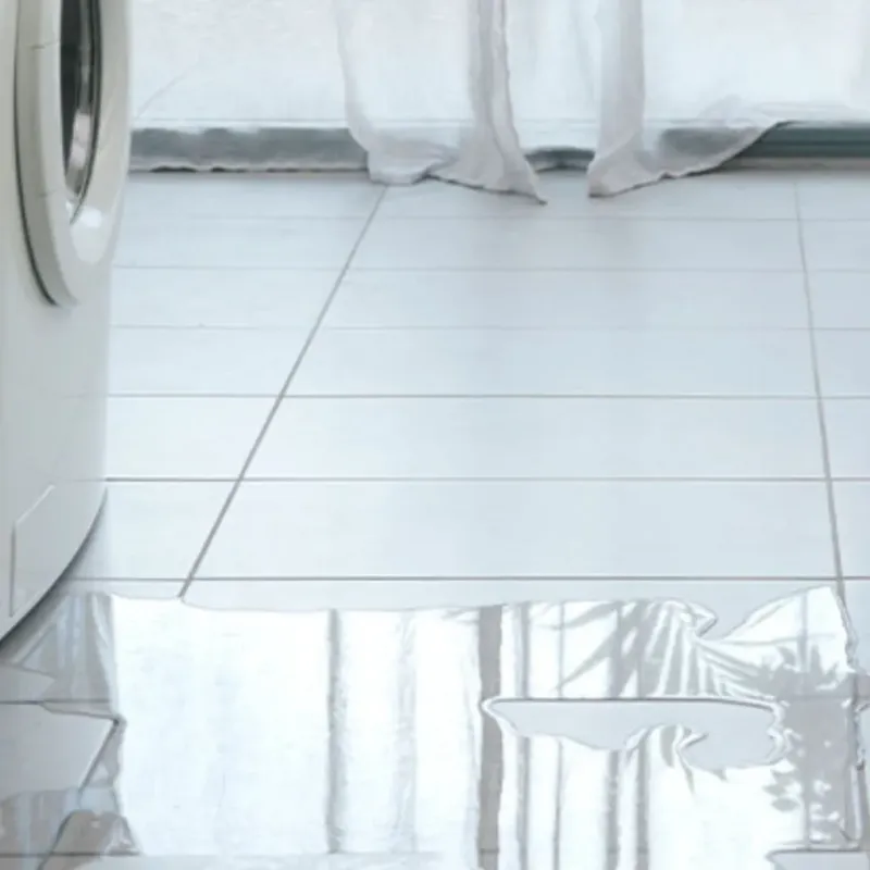 Appliance Leak Cleanup in La Palma, CA