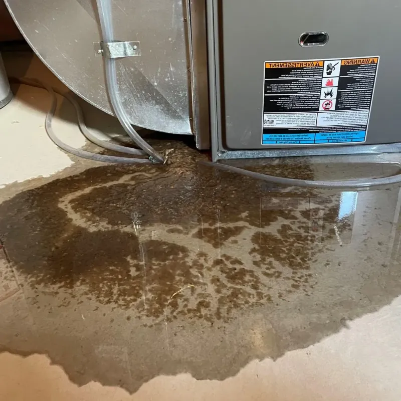 Pipe Burst and Leak Restoration in La Palma, CA